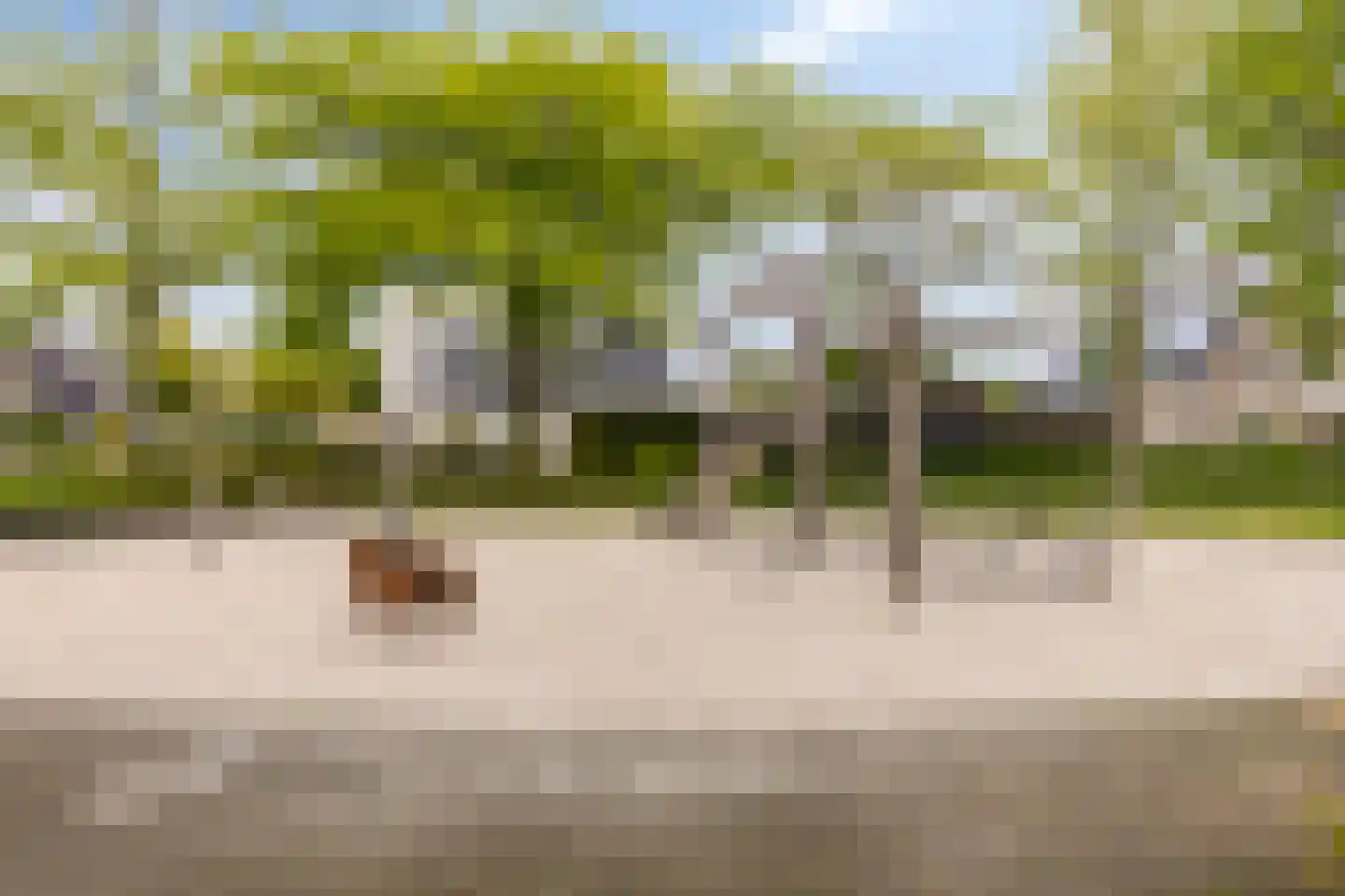 Spoorven 208 Veghel thumbnail 35
