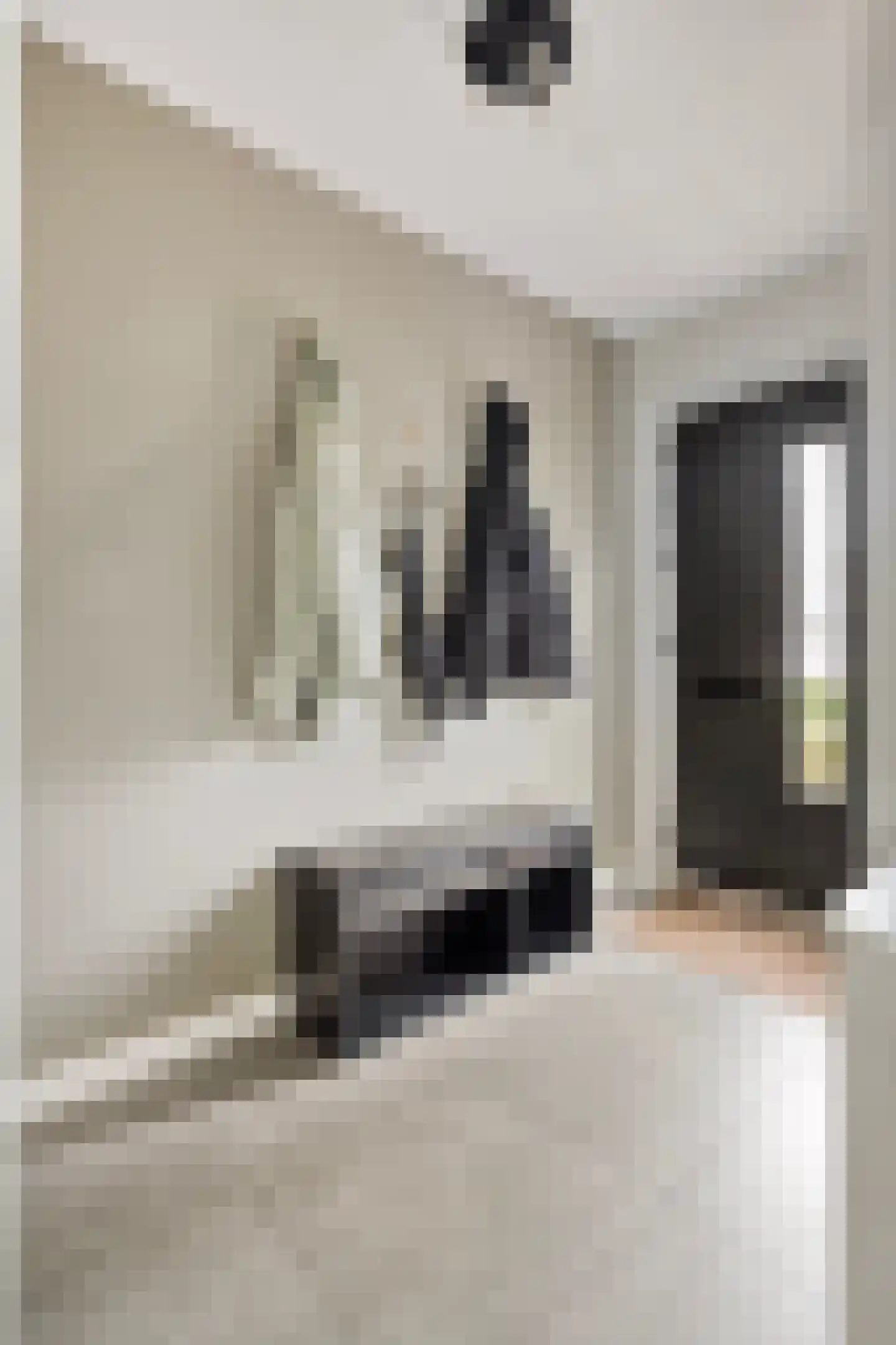 Spoorven 208 Veghel thumbnail 8