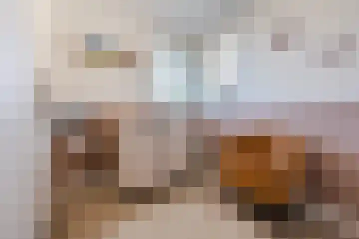 Spoorven 222 Veghel thumbnail 25