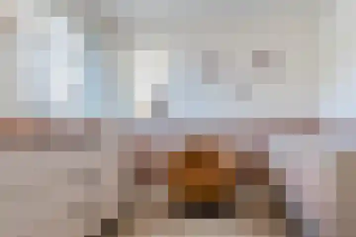 Spoorven 222 Veghel thumbnail 26