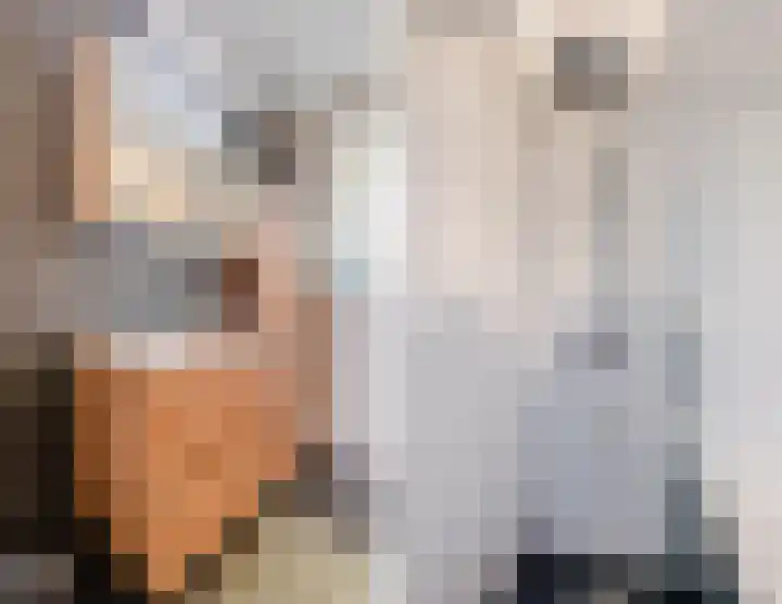Spoorven 222 Veghel thumbnail 31