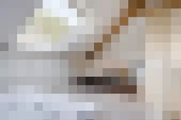 Spoorven 222 Veghel thumbnail 33
