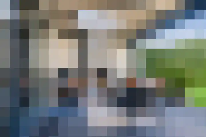 Spoorven 222 Veghel thumbnail 36