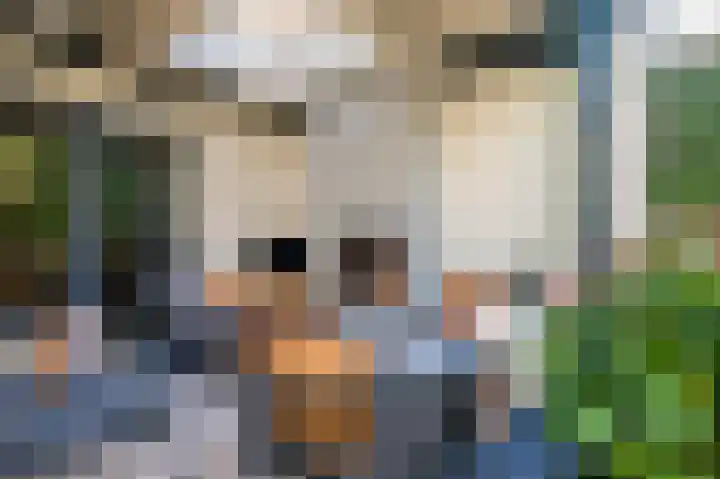 Spoorven 222 Veghel thumbnail 38