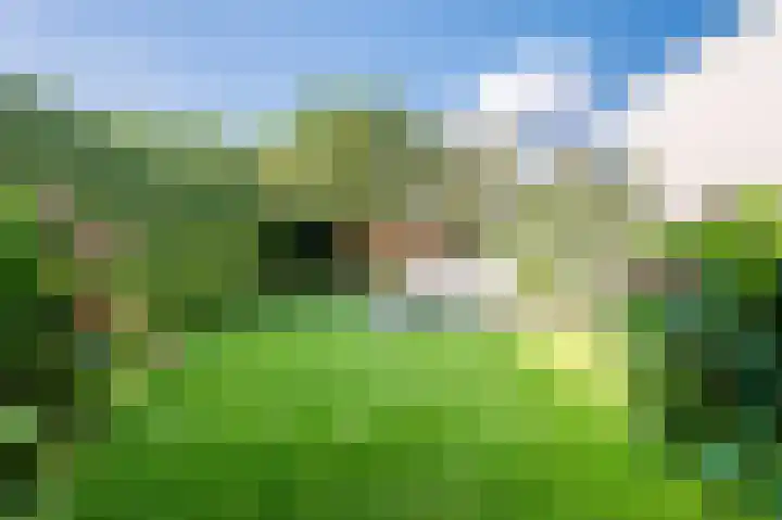 Spoorven 222 Veghel thumbnail 40