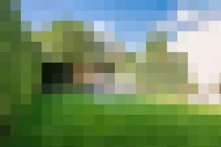 Spoorven 222 Veghel thumbnail 41