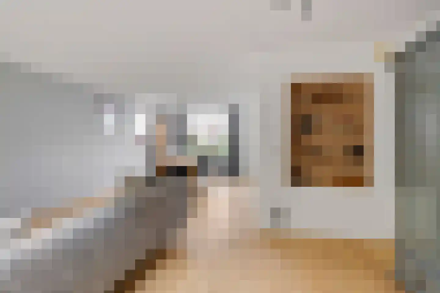 Spoorven 232 Veghel thumbnail 10
