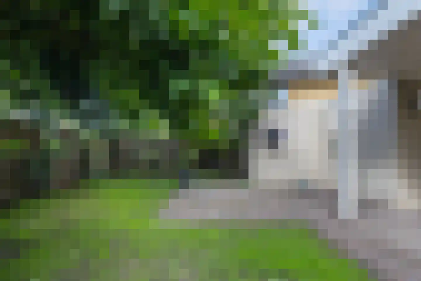 Spoorven 232 Veghel thumbnail 25