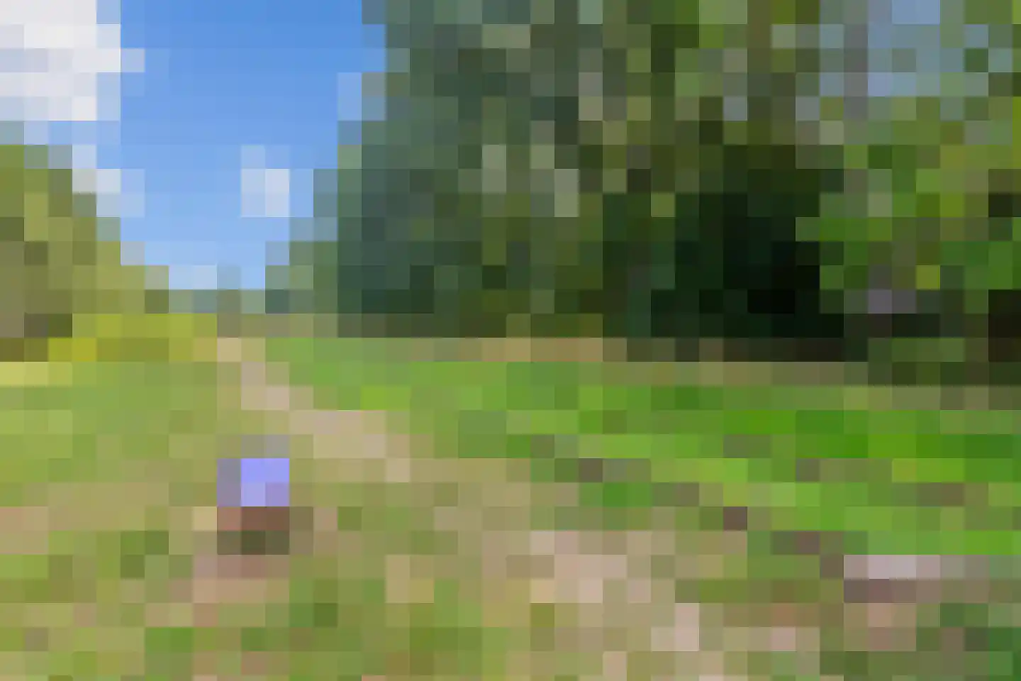 Spoorven 232 Veghel thumbnail 27