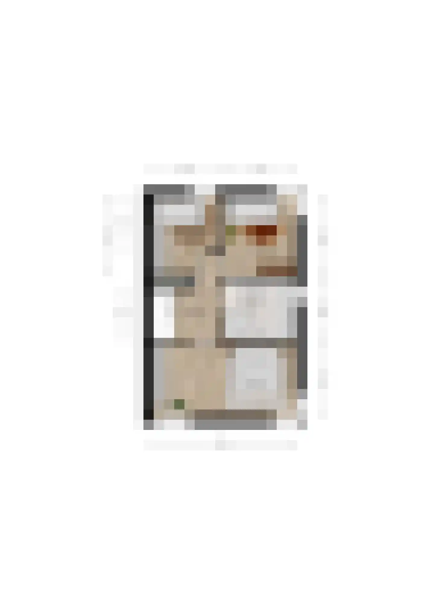 Spoorven 232 Veghel thumbnail 29
