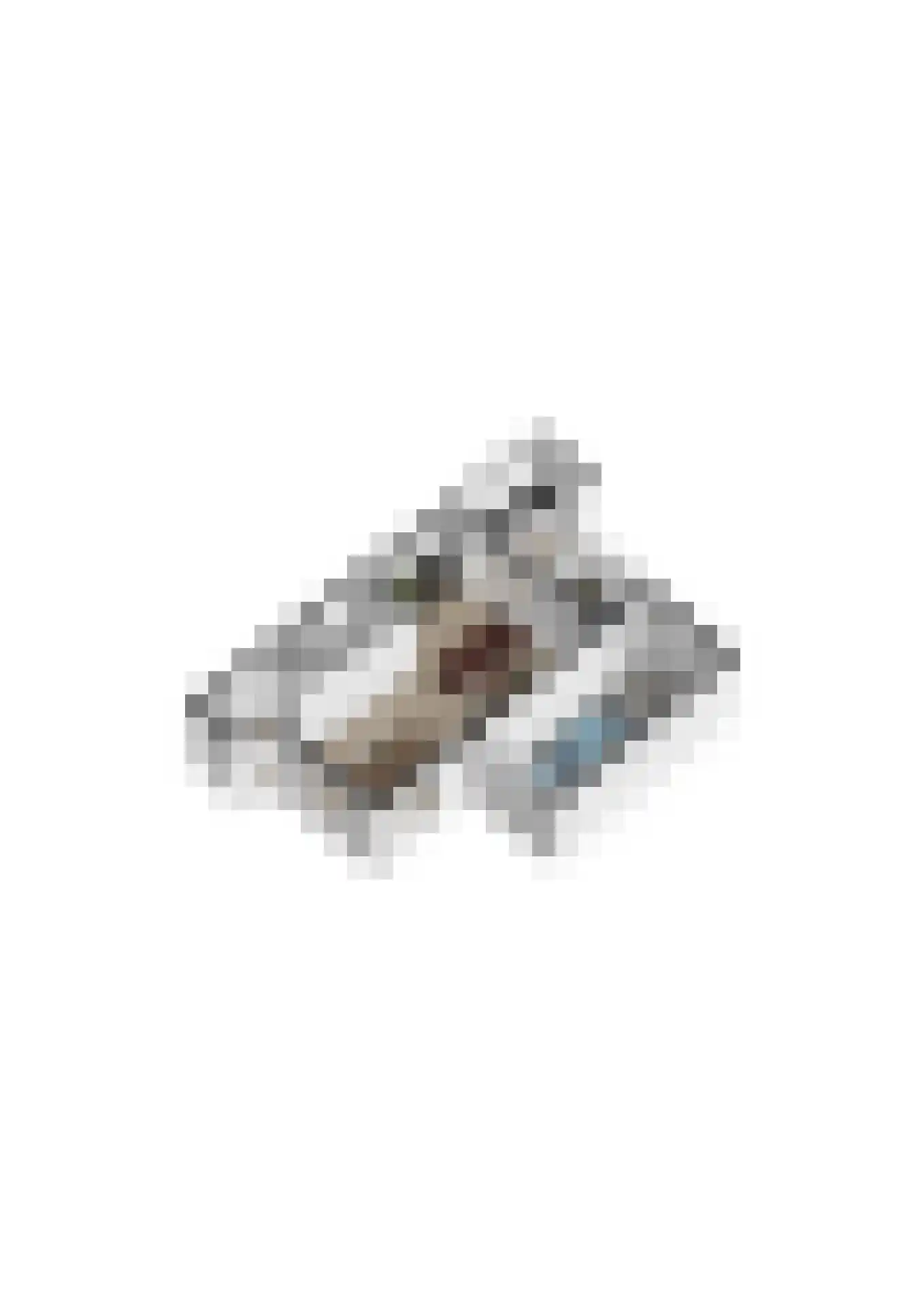 Spoorven 232 Veghel thumbnail 32