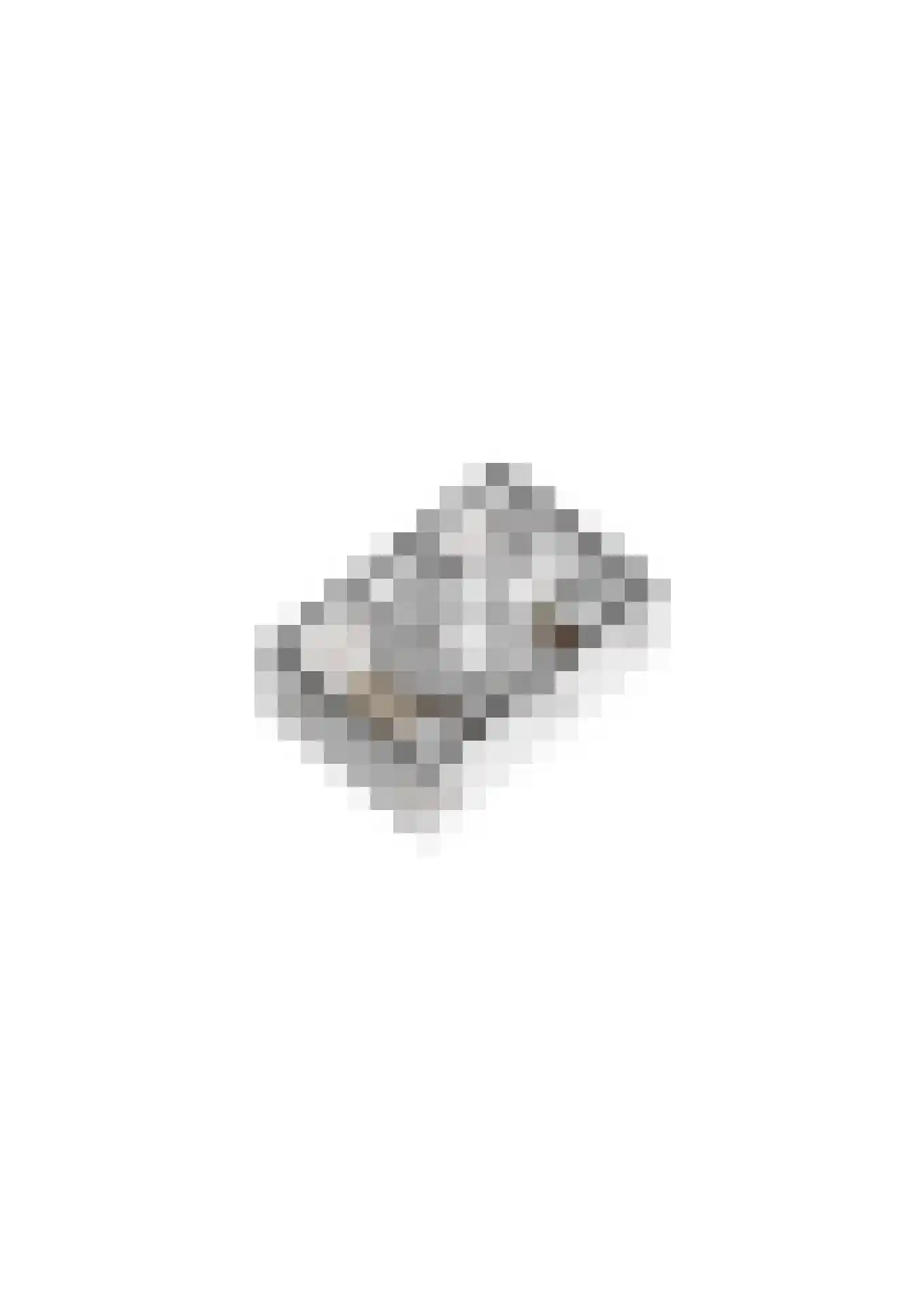 Spoorven 232 Veghel thumbnail 33