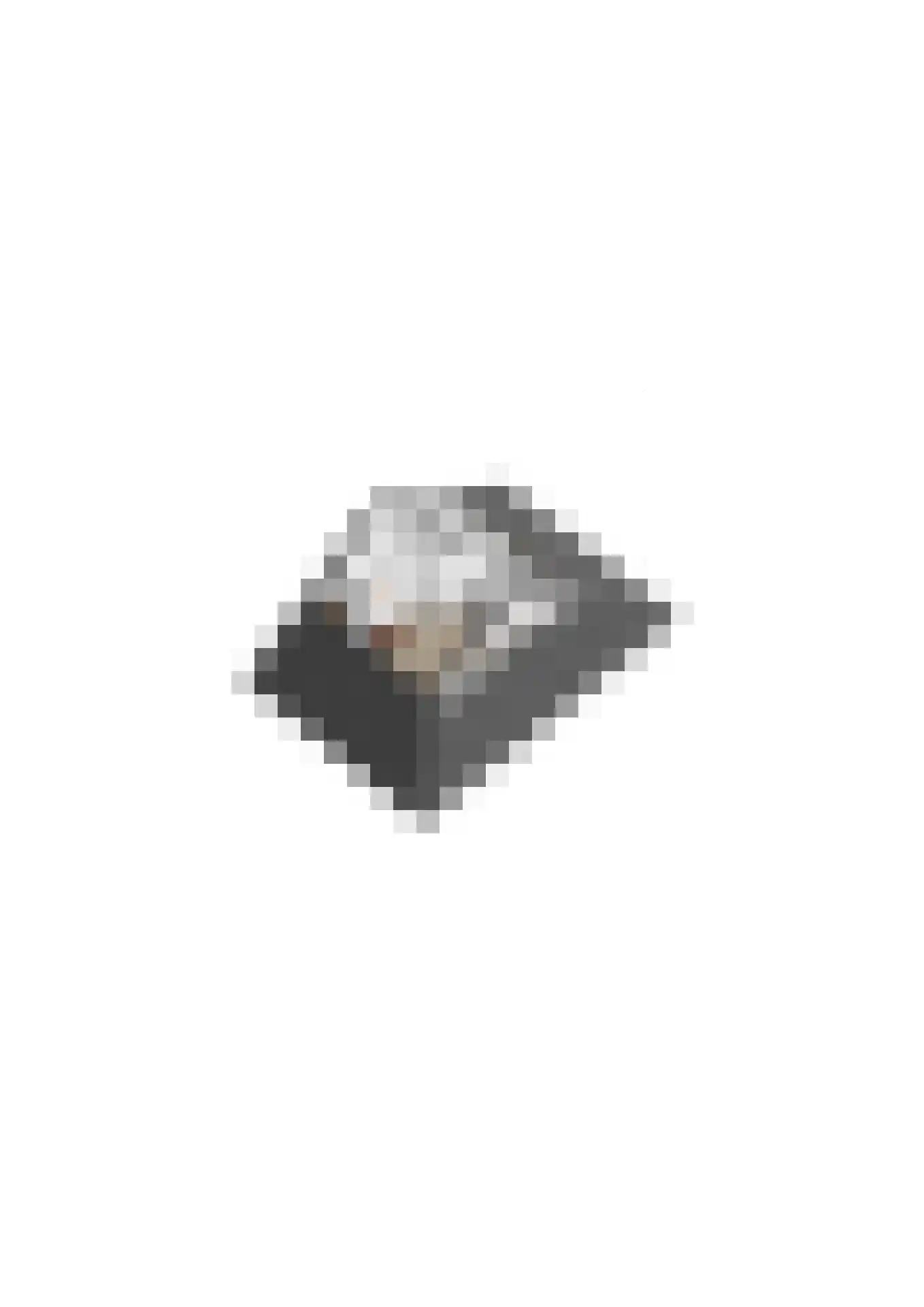 Spoorven 232 Veghel thumbnail 34