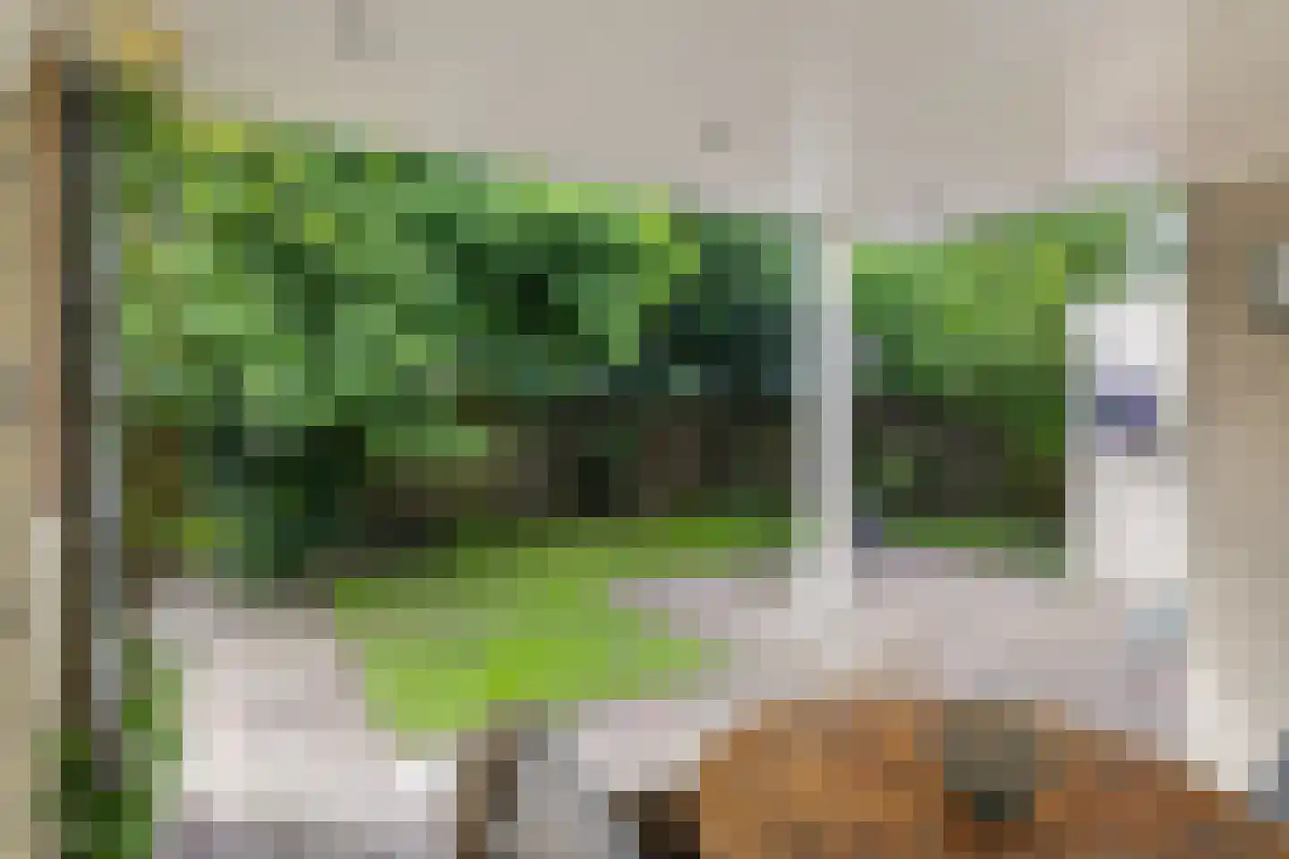 Spoorven 232 Veghel thumbnail 4