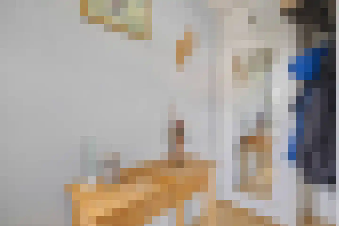 Spoorven 232 Veghel thumbnail 7