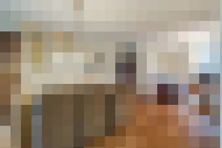 Spoorven 362 Veghel thumbnail 15