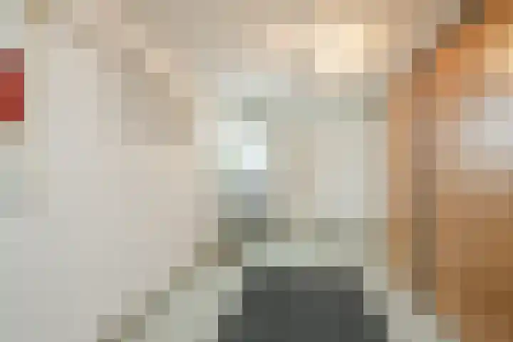 Spoorven 362 Veghel thumbnail 17