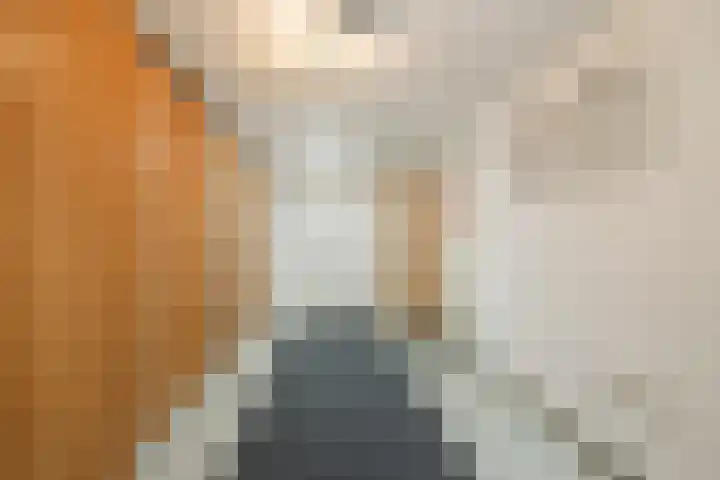 Spoorven 362 Veghel thumbnail 18