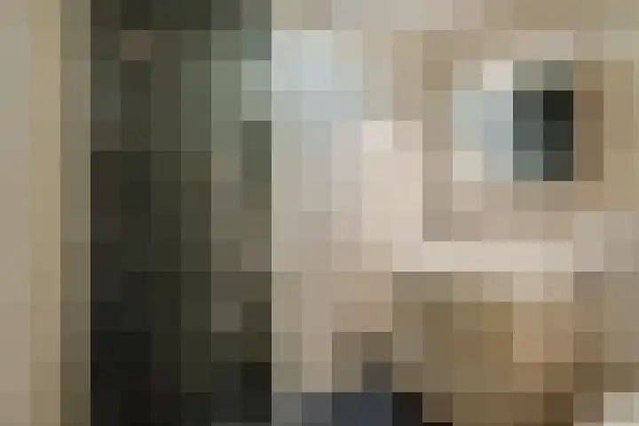 Spoorven 362 Veghel thumbnail 21