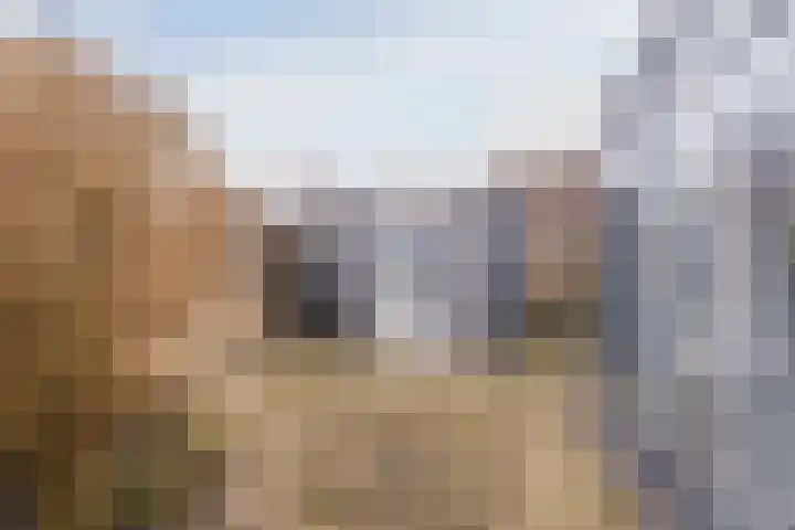 Spoorven 362 Veghel thumbnail 34