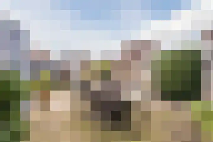 Spoorven 362 Veghel thumbnail 39