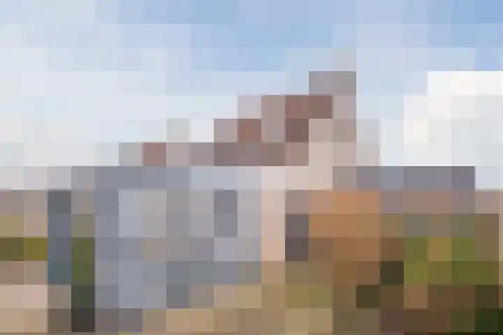 Spoorven 362 Veghel thumbnail 40
