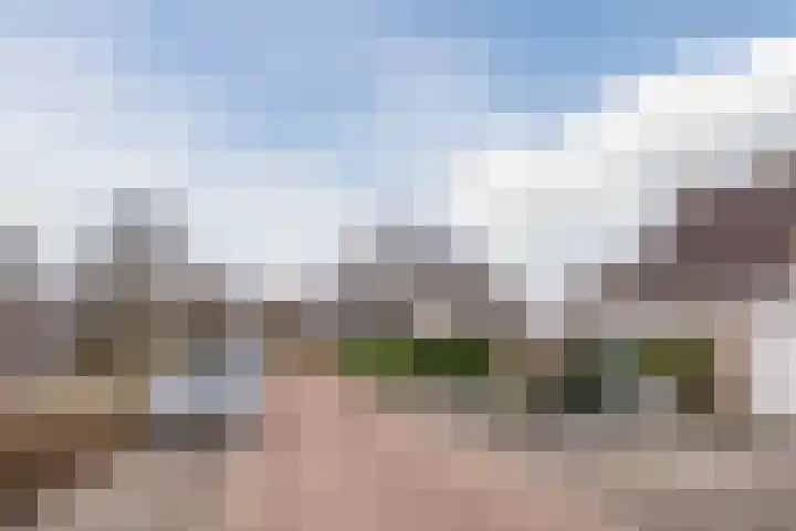 Spoorven 362 Veghel thumbnail 42