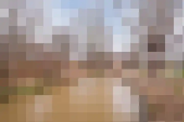 Spoorven 362 Veghel thumbnail 43