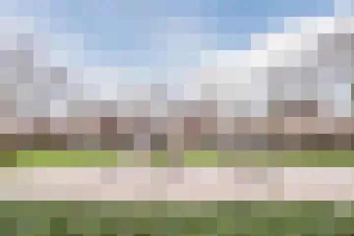 Spoorven 362 Veghel thumbnail 44