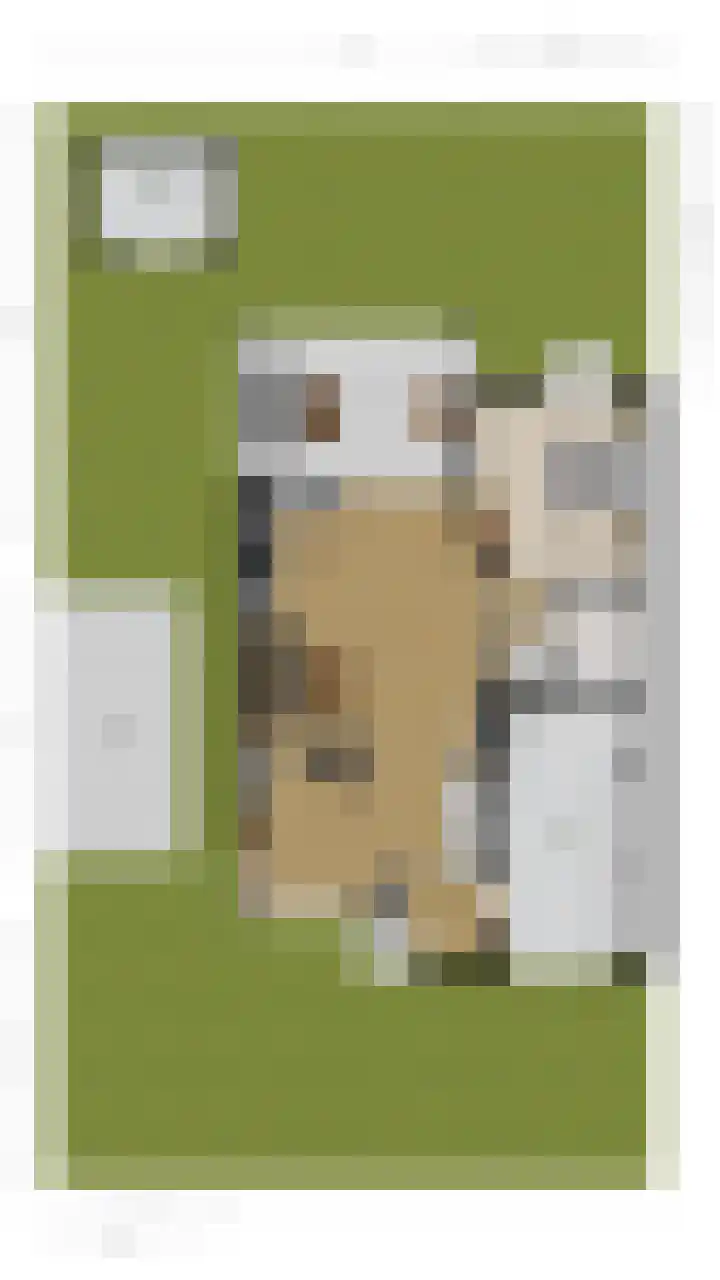 Spoorven 362 Veghel thumbnail 45