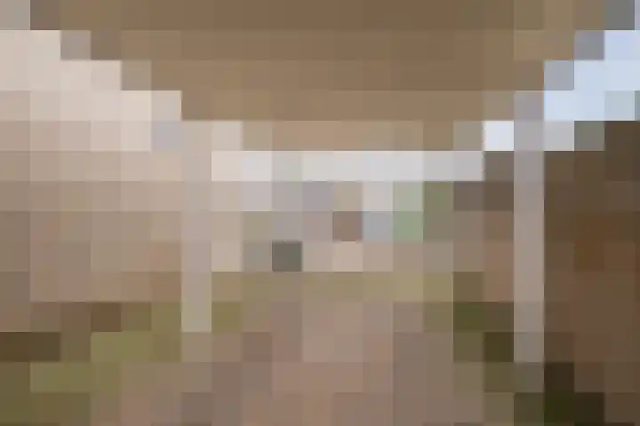 Spoorven 362 Veghel thumbnail 5