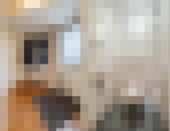 Spoorven 362 Veghel thumbnail 8