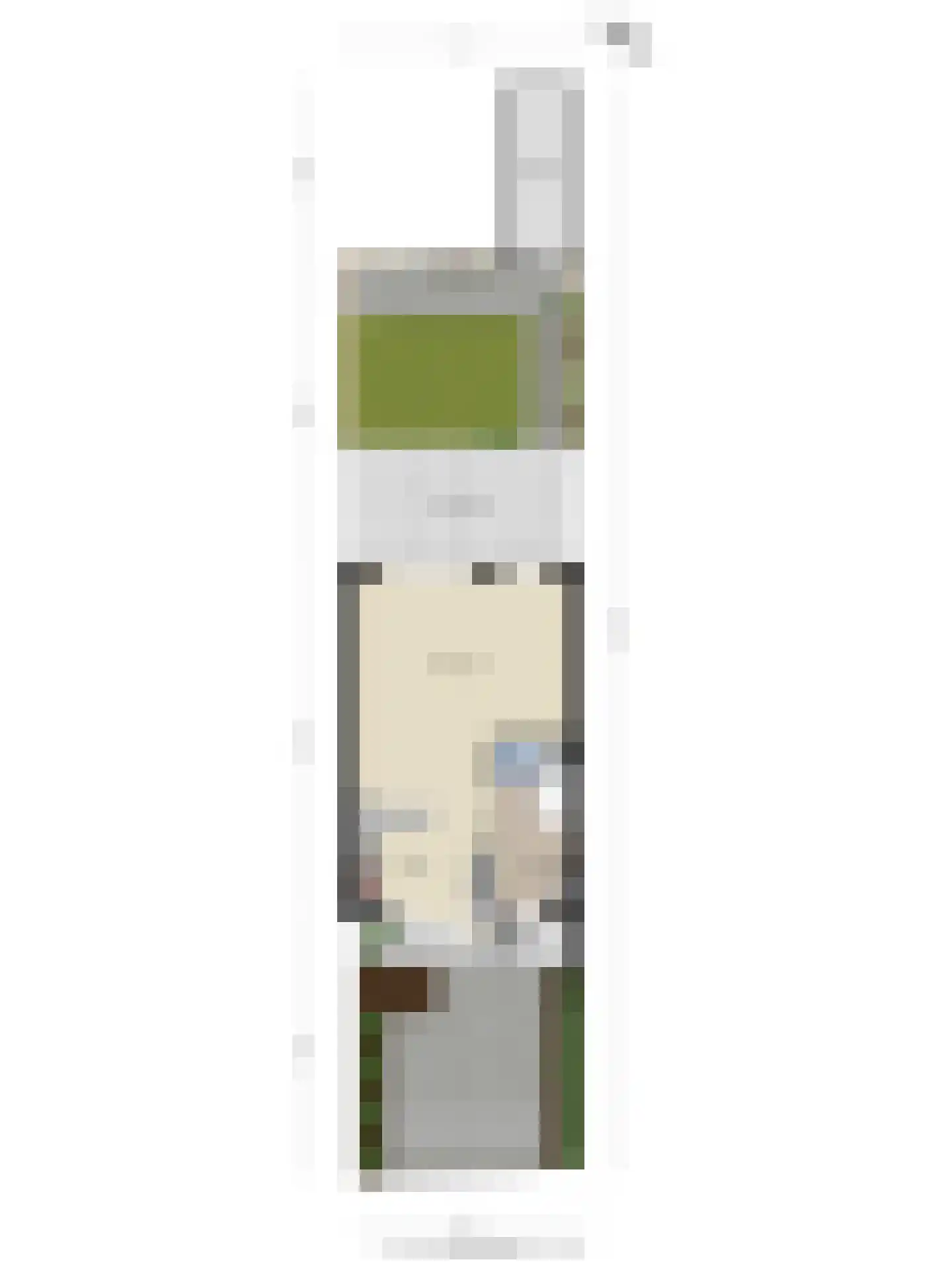 Spoorven 402 Veghel thumbnail 35