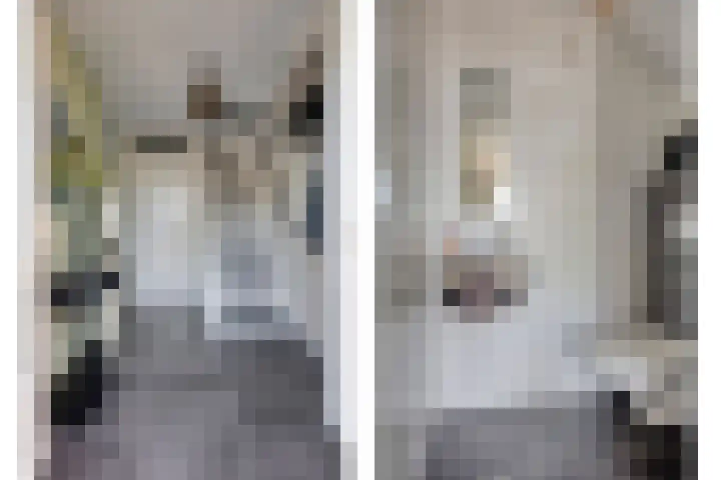 Spoorven 402 Veghel thumbnail 5