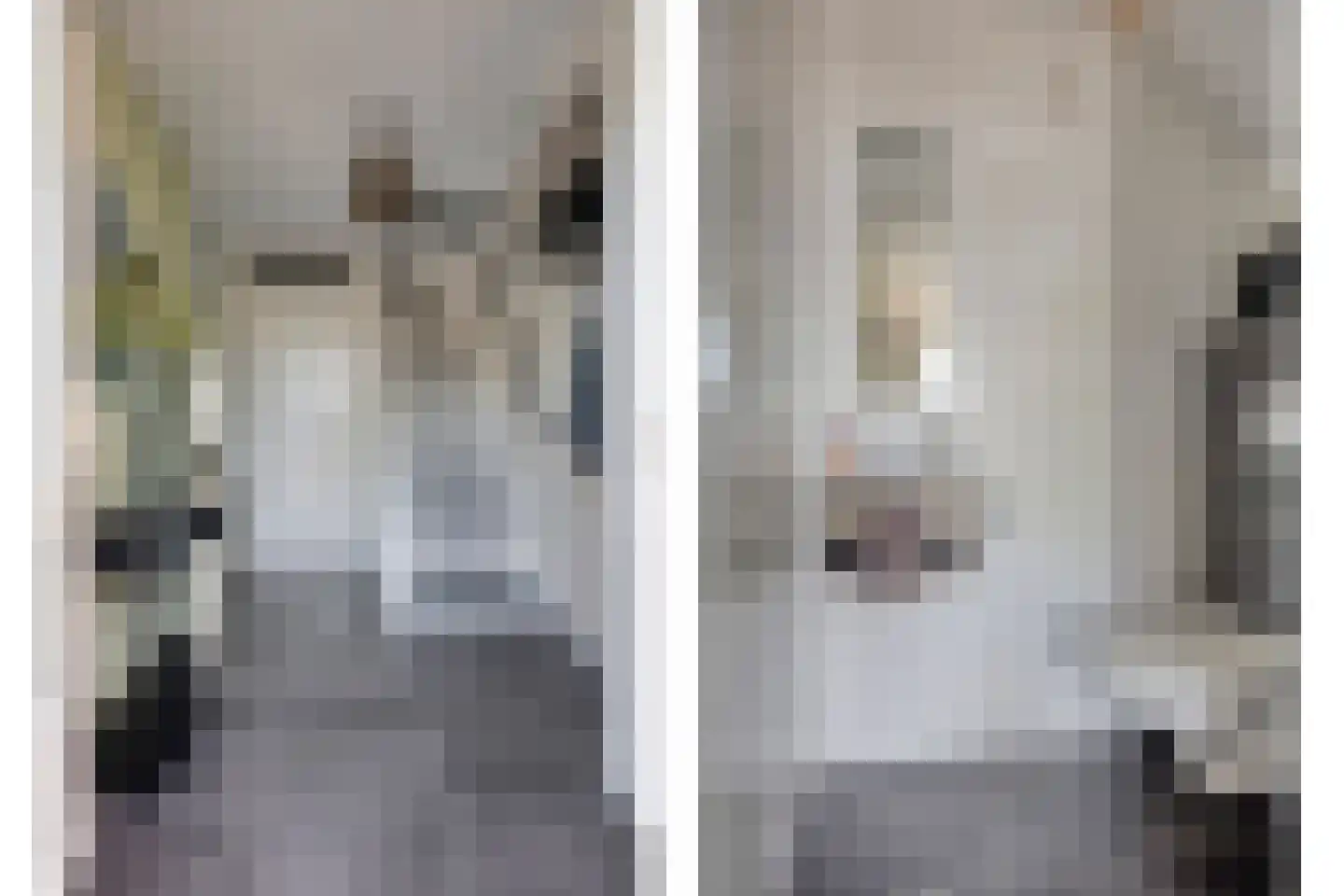 Spoorven 402 Veghel thumbnail 6