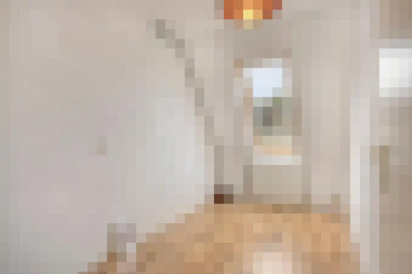 Spoorven 407 Veghel thumbnail 32