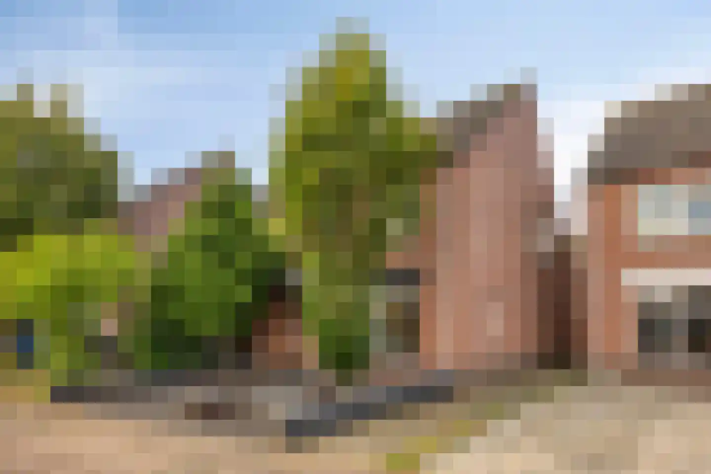 Spoorven 407 Veghel thumbnail 43