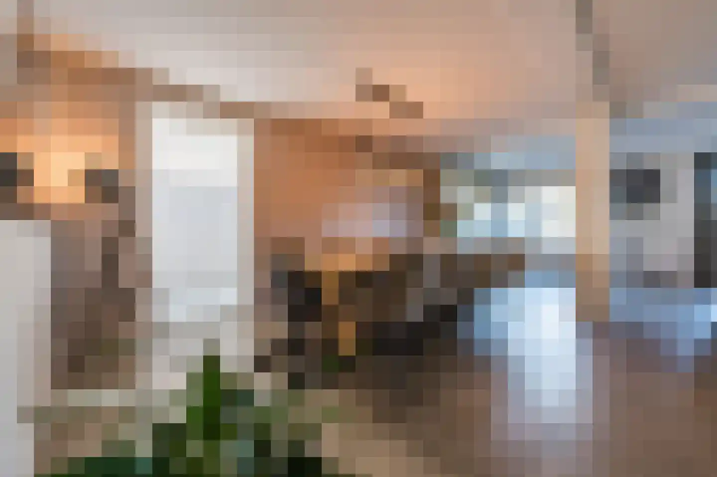 Spoorven 531 Veghel thumbnail 14