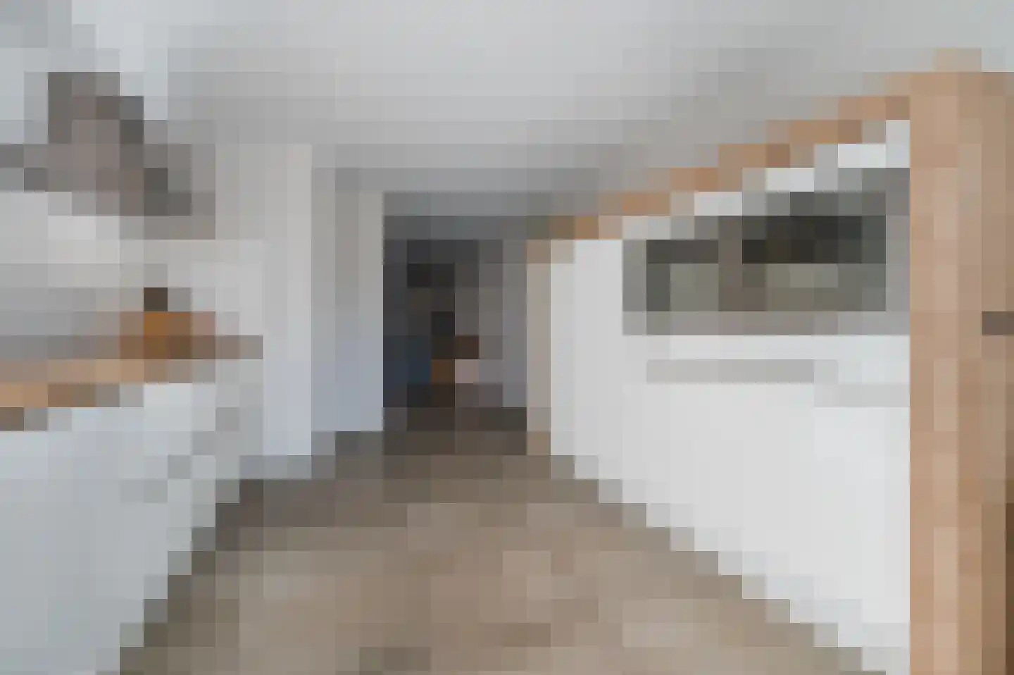 Spoorven 531 Veghel thumbnail 22