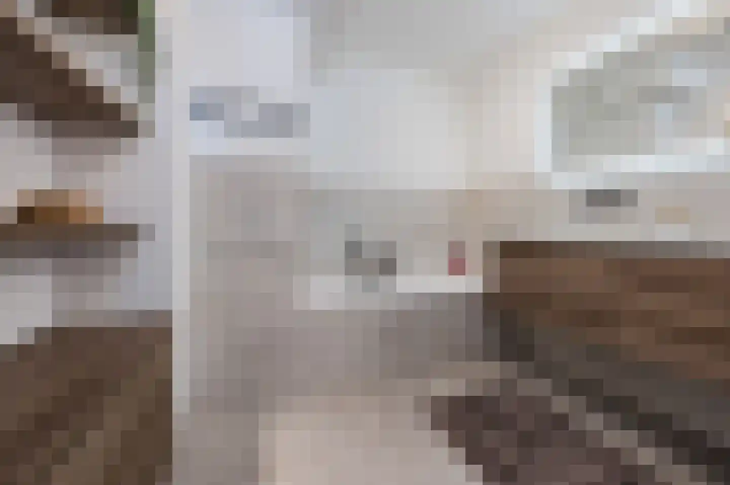 Spoorven 531 Veghel thumbnail 29