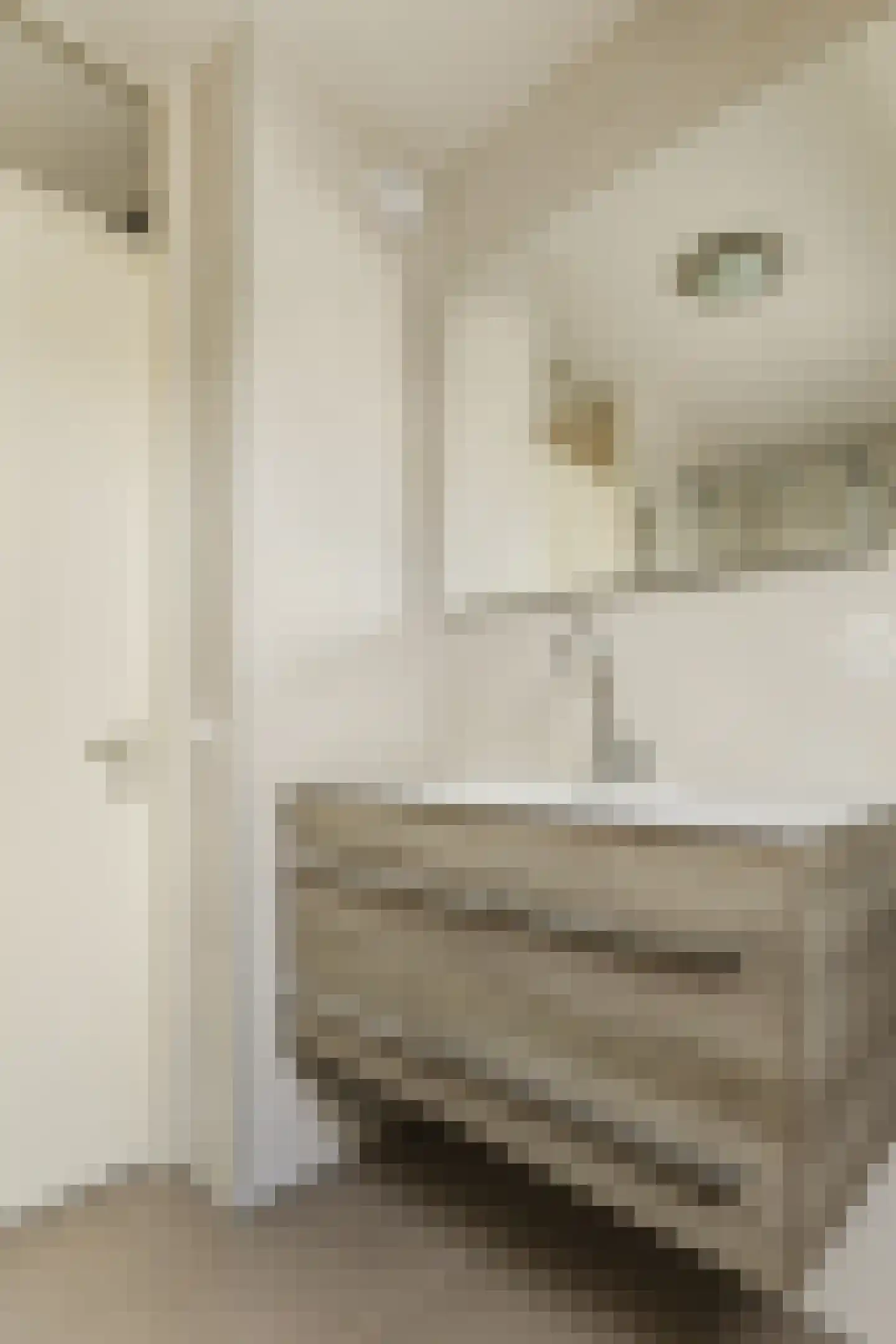 Spoorven 60 Veghel thumbnail 31