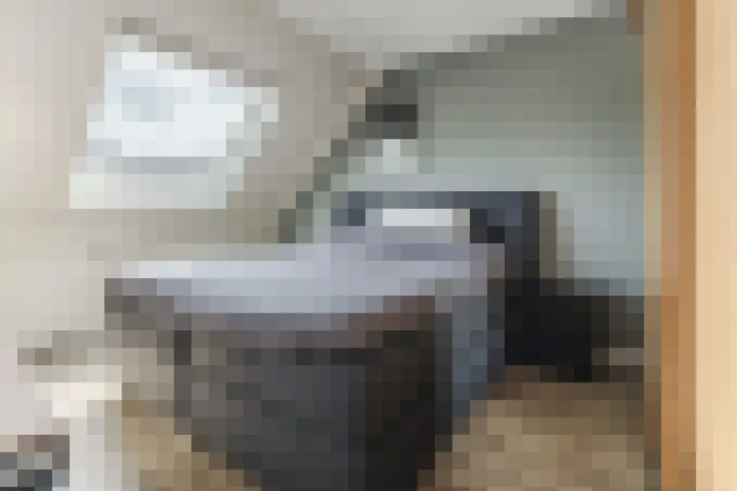 Spoorven 60 Veghel thumbnail 5