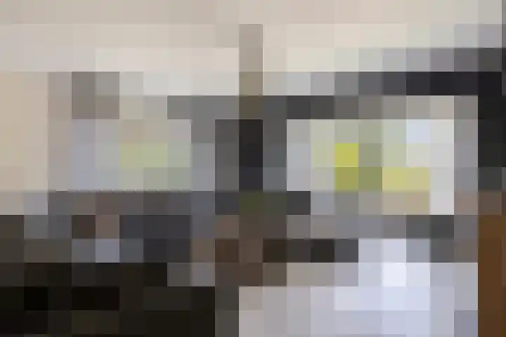 Spoorven 619 Veghel thumbnail 14