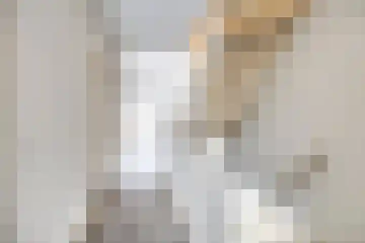 Spoorven 619 Veghel thumbnail 28
