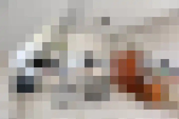 Spoorven 619 Veghel thumbnail 39