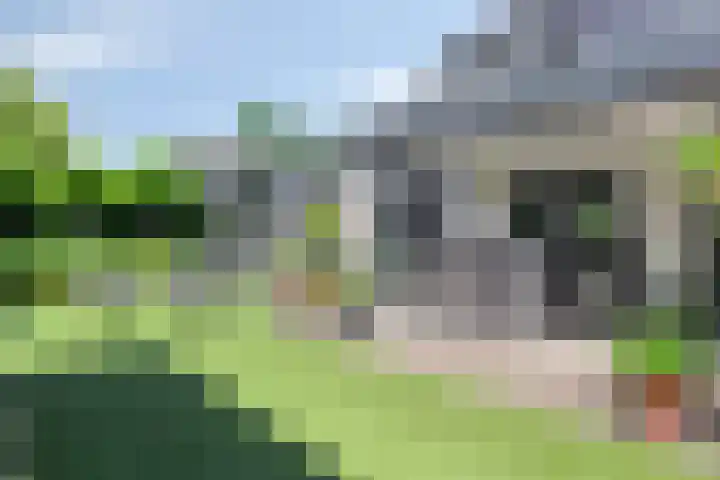 Spoorven 619 Veghel thumbnail 45