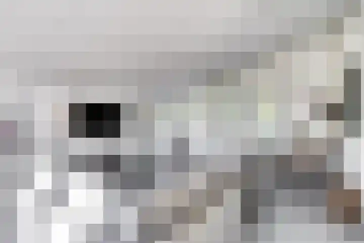 Spoorven 627 Veghel thumbnail 11