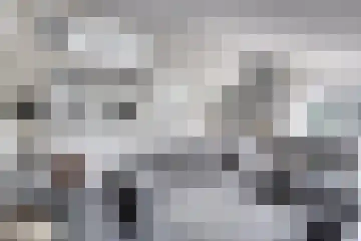 Spoorven 627 Veghel thumbnail 13
