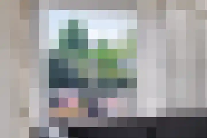 Spoorven 627 Veghel thumbnail 14