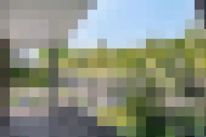 Spoorven 627 Veghel thumbnail 15
